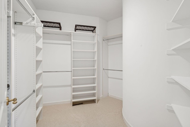 4 Antrim Ter, Edina, MN 55439 - walk in closet with carpet