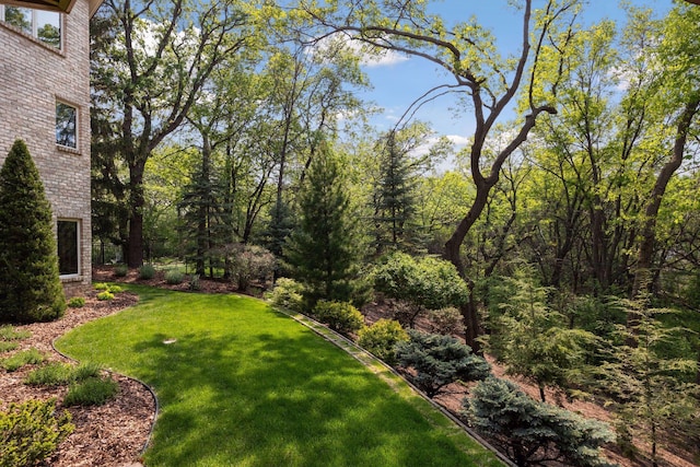 4 Antrim Ter, Edina, MN 55439 - view of yard