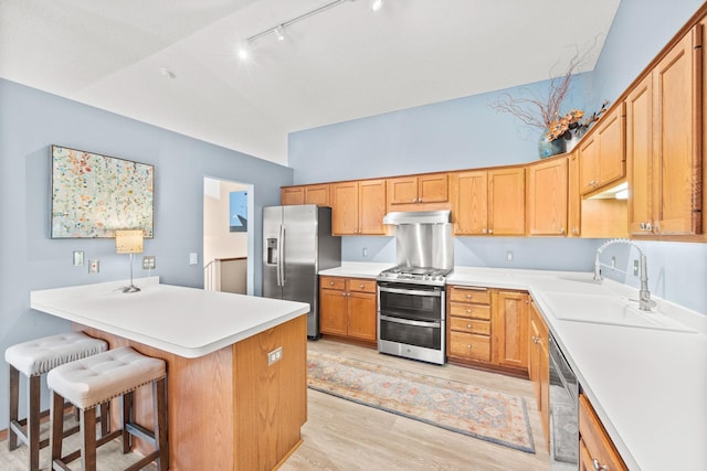 6108 Creek Line Dr, Minnetonka, MN 55345 - kitchen with a sink, stainless steel appliances, light wood-style floors, under cabinet range hood, and rail lighting