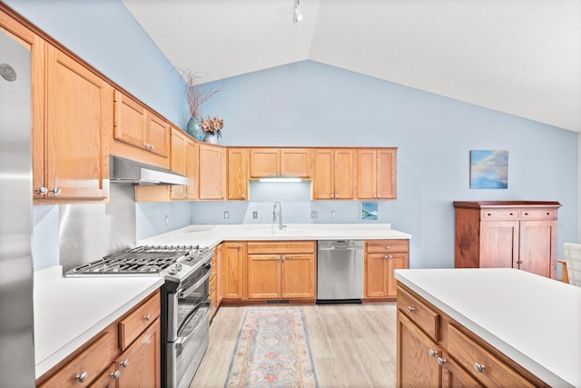 6108 Creek Line Dr, Minnetonka, MN 55345 - kitchen with appliances with stainless steel finishes, light countertops, light wood finished floors, range hood, and a sink
