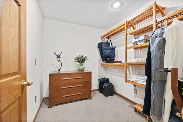 6108 Creek Line Dr, Minnetonka, MN 55345 - spacious closet with carpet