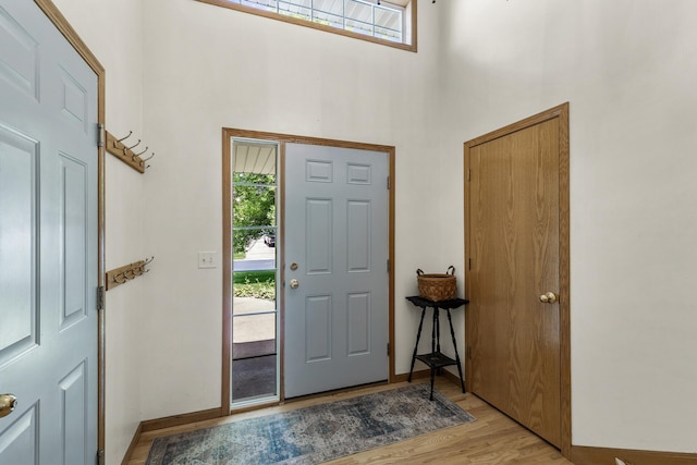 2294 Mathias Rd, Shakopee, MN 55379 - entryway featuring plenty of natural light, a towering ceiling, and light wood-type flooring
