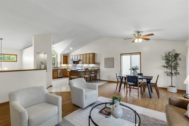 2294 Mathias Rd, Shakopee, MN 55379 - living room featuring a chandelier, lofted ceiling, light wood-style floors, and plenty of natural light