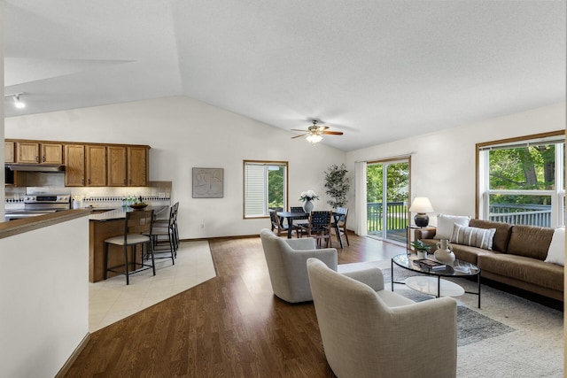 2294 Mathias Rd, Shakopee, MN 55379 - living area with a ceiling fan, lofted ceiling, and light wood-type flooring