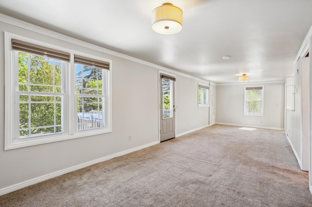 3511 Mckinley St NE, Minneapolis, MN 55418 - carpeted empty room with crown molding and baseboards