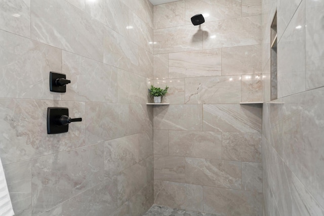 1764 Brandt Dr NE, Byron, MN 55920 - bathroom with tiled shower