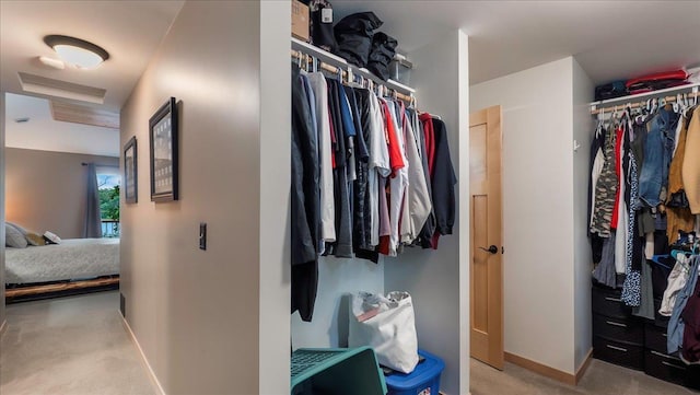 spacious closet with carpet