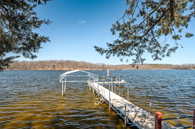 dock area with a water view