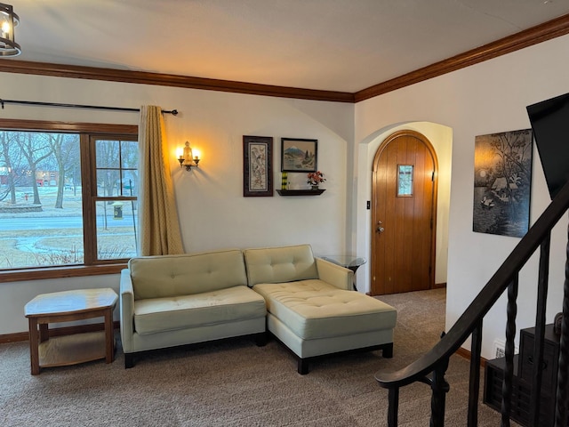 201 2nd St W, Chokio, MN 56221 - carpeted living room with ornamental molding