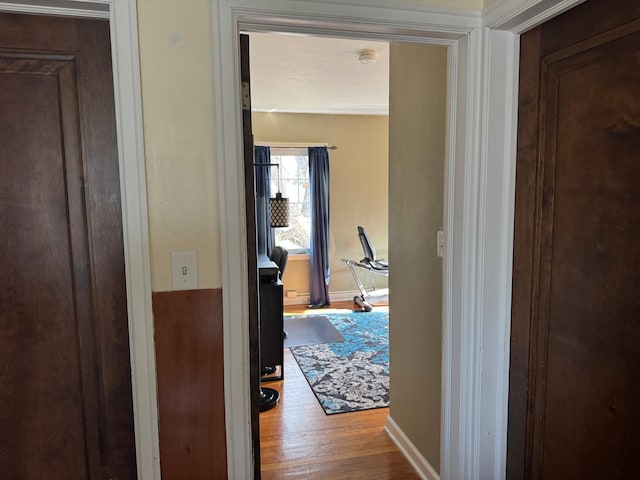 201 2nd St W, Chokio, MN 56221 - corridor with wood finished floors and baseboards