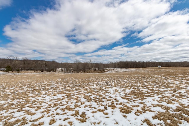 view of yard featuring a rural view