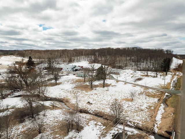 view of snow covered land
