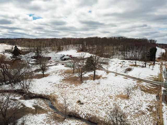 view of yard layered in snow