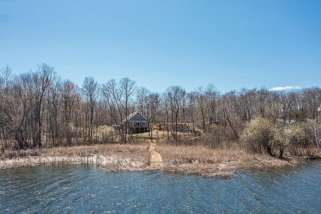 water view with a heavily wooded area