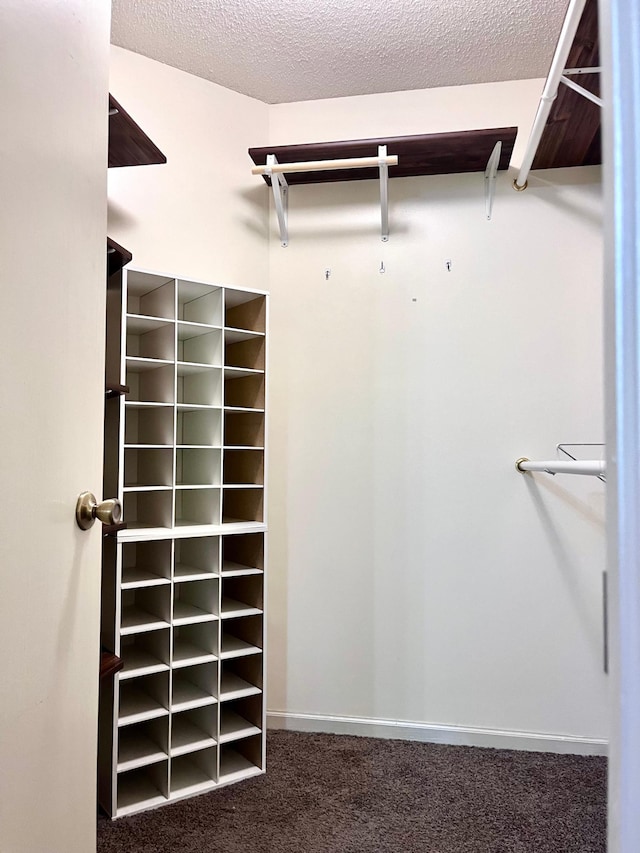 953 14th Ln SE, Cambridge, MN 55008 - spacious closet with carpet flooring