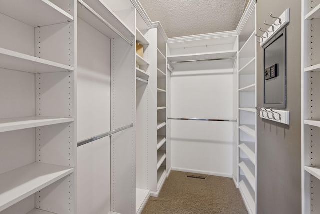 spacious closet with light carpet and visible vents