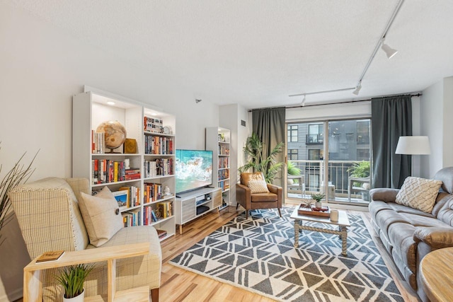 401 1st St Unit 308, Minneapolis, MN 55401 - living room featuring wood finished floors and rail lighting