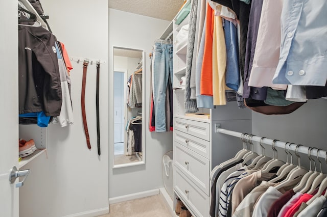 401 1st St Unit 308, Minneapolis, MN 55401 - view of spacious closet