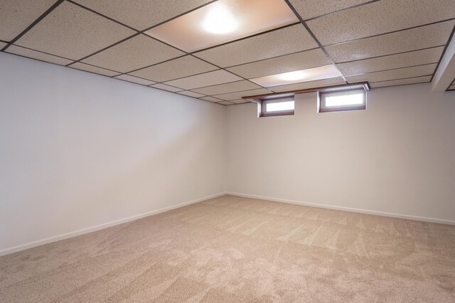 7740 Arlington Ave N, Brooklyn Park, MN 55443 - basement with baseboards, carpet flooring, and a paneled ceiling