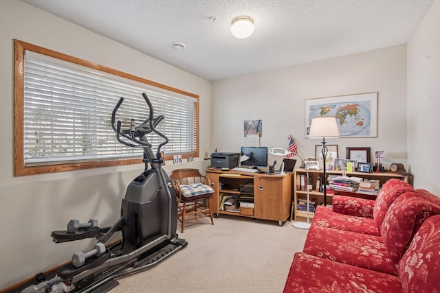 907 Fairfield Way, Minnetonka, MN 55305 - office featuring carpet floors and a textured ceiling