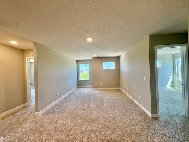 6114 Jensen Ave S, Cottage Grove, MN 55016 - photo 12