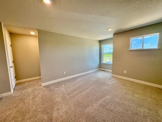 6114 Jensen Ave S, Cottage Grove, MN 55016 - photo 13