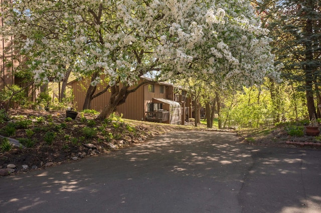 2628 Sumac Ct, White Bear Lake, MN 55110 - view of side of property with asphalt driveway