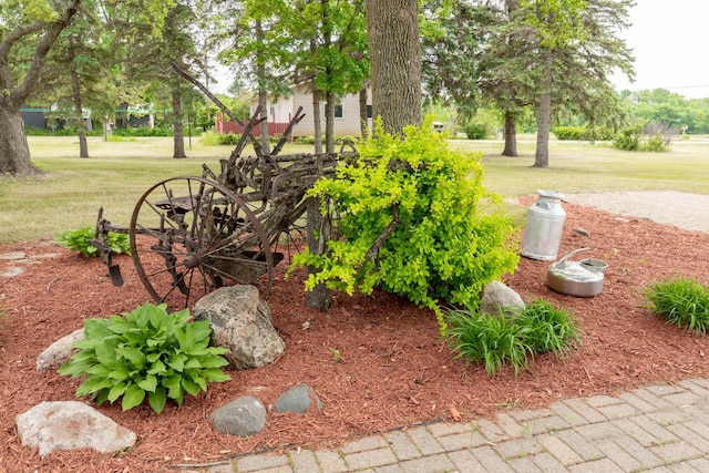view of grassy yard