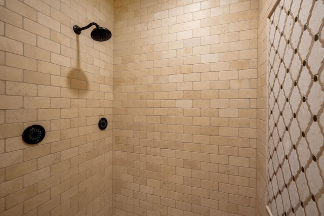 2834 12th Ave NW, Austin, MN 55912 - bathroom view of tiled shower