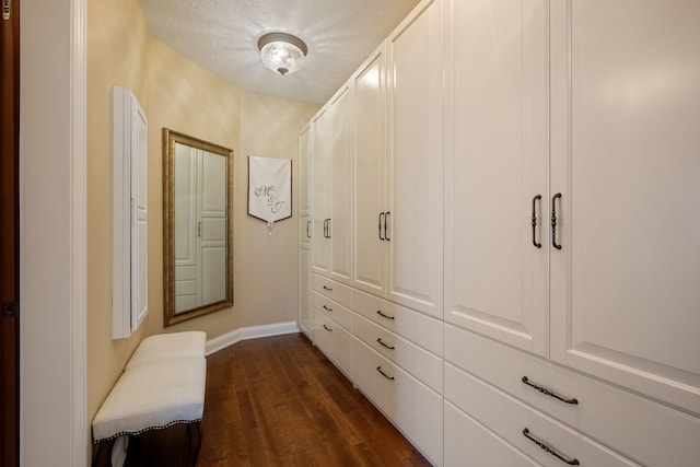 2834 12th Ave NW, Austin, MN 55912 - walk in closet featuring dark wood-style flooring