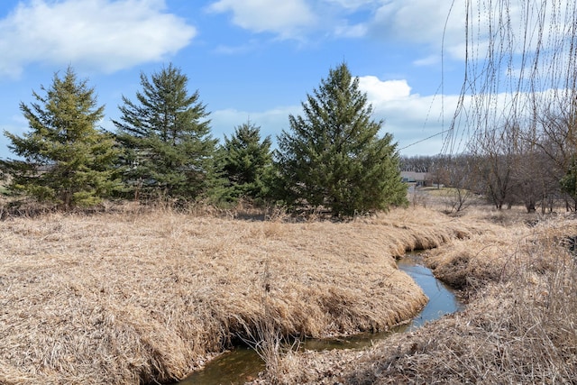 2834 12th Ave NW, Austin, MN 55912 - view of nature