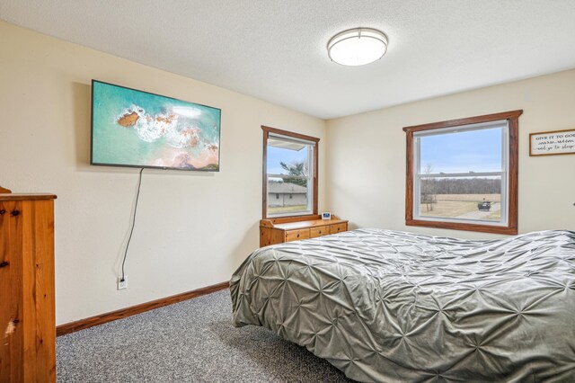 1794 White Ash Dr, Apple River Twp, WI 54810 - bedroom featuring carpet floors, multiple windows, and baseboards