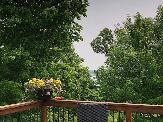 1794 White Ash Dr, Apple River Twp, WI 54810 - view of wooden deck