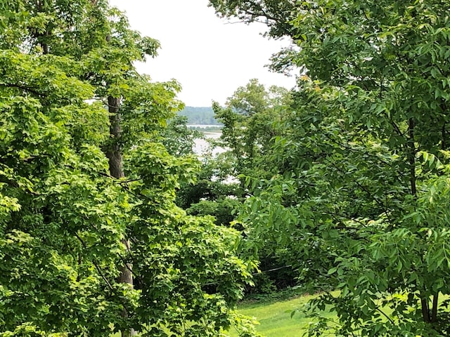 1794 White Ash Dr, Apple River Twp, WI 54810 - view of nature