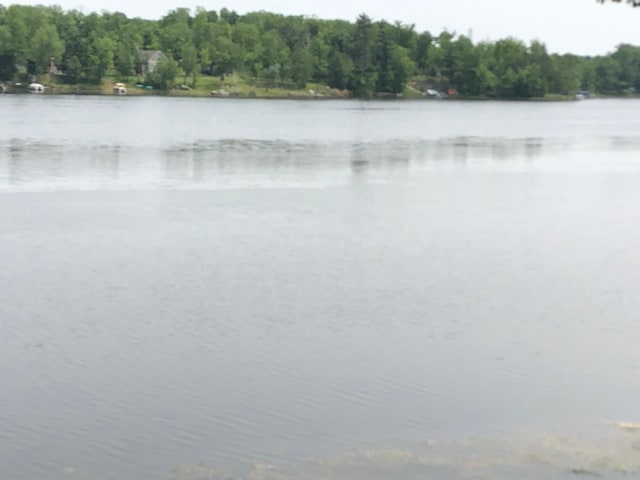 1794 White Ash Dr, Apple River Twp, WI 54810 - water view with a forest