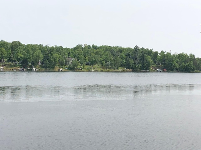 1794 White Ash Dr, Apple River Twp, WI 54810 - water view