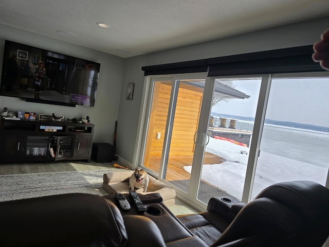 living room with recessed lighting and wood finished floors