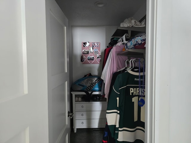 view of walk in closet