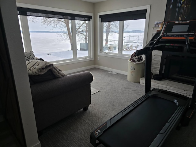 exercise room with baseboards and carpet
