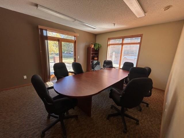 office space featuring carpet flooring, a textured ceiling, baseboards, and a healthy amount of sunlight