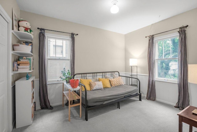 2136 Temple Ct, Saint Paul, MN 55104 - bedroom featuring carpet floors, multiple windows, and wainscoting