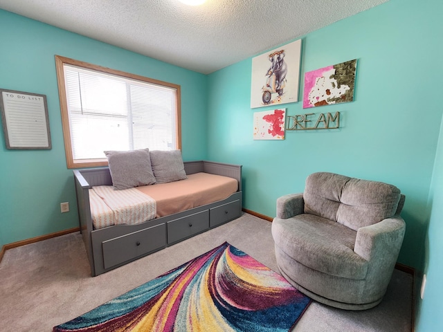 728 Elm St, Belle Plaine, MN 56011 - living area featuring baseboards, carpet, and a textured ceiling