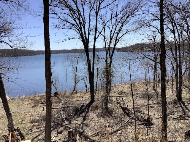 32990 Heilberger Dr, Erhard, MN 56534 - water view