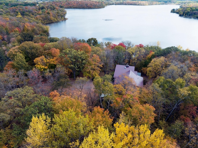 32990 Heilberger Dr, Erhard, MN 56534 - view of subject property with a forest and a large body of water