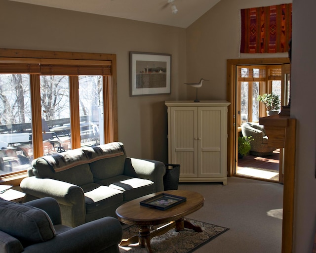32990 Heilberger Dr, Erhard, MN 56534 - living room featuring lofted ceiling, carpet, and plenty of natural light