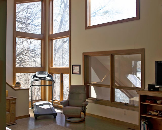 32990 Heilberger Dr, Erhard, MN 56534 - sitting room with a high ceiling, healthy amount of natural light, and baseboards