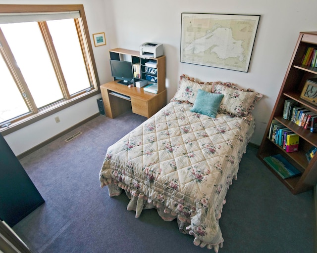 32990 Heilberger Dr, Erhard, MN 56534 - bedroom with carpet flooring and baseboards