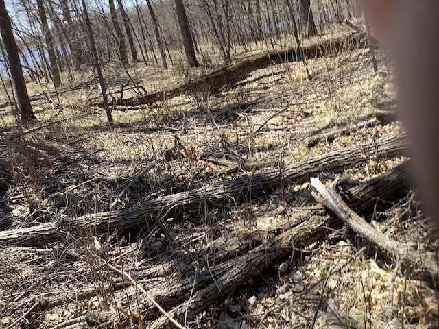 32990 Heilberger Dr, Erhard, MN 56534 - view of undeveloped land