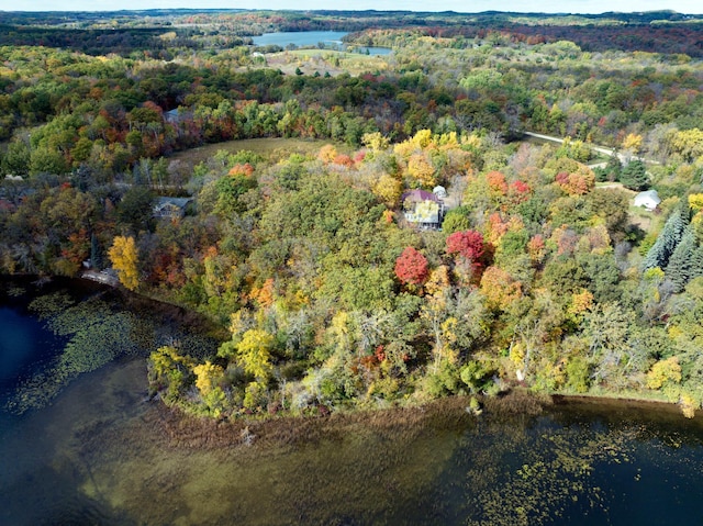 32990 Heilberger Dr, Erhard, MN 56534 - aerial view of property and surrounding area with a forest and a large body of water