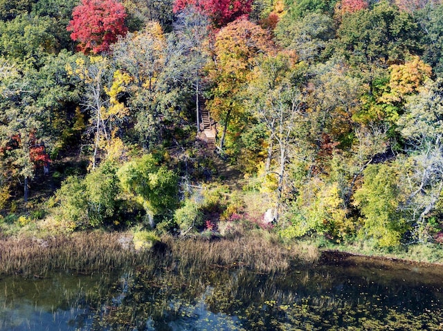 32990 Heilberger Dr, Erhard, MN 56534 - bird's eye view of a heavily wooded area